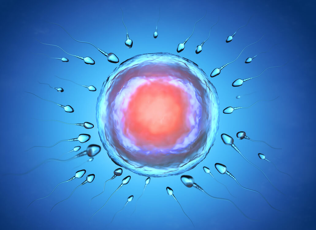 Men’s Fertility: How to Increase Sperm Count and Motility?